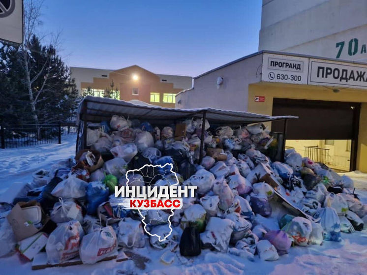 Огромная куча мусора образовалась неподалеку от детсада в Кемерове