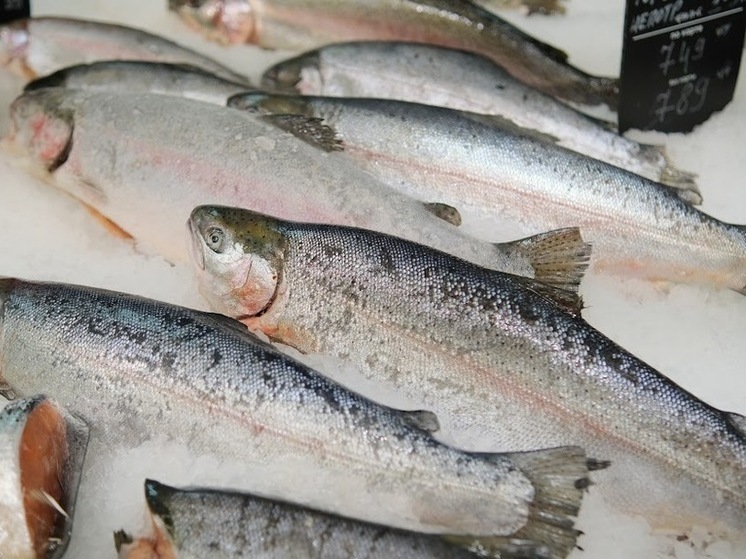 Свыше 2 тысяч тонн рыбы было произведено в Астраханской области в 2023 году