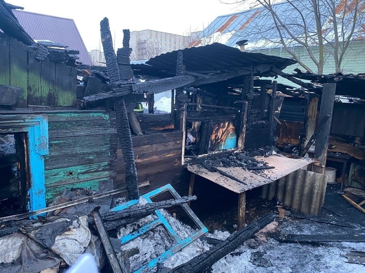В Мичуринске при пожаре погибли мужчина и его 9-летний сын
