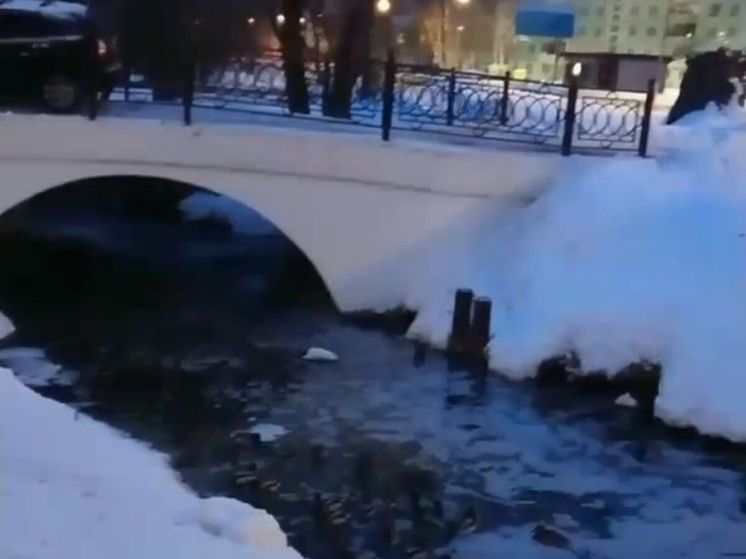 В Дмитрове местная река Березовец покрылась загадочными пятнами