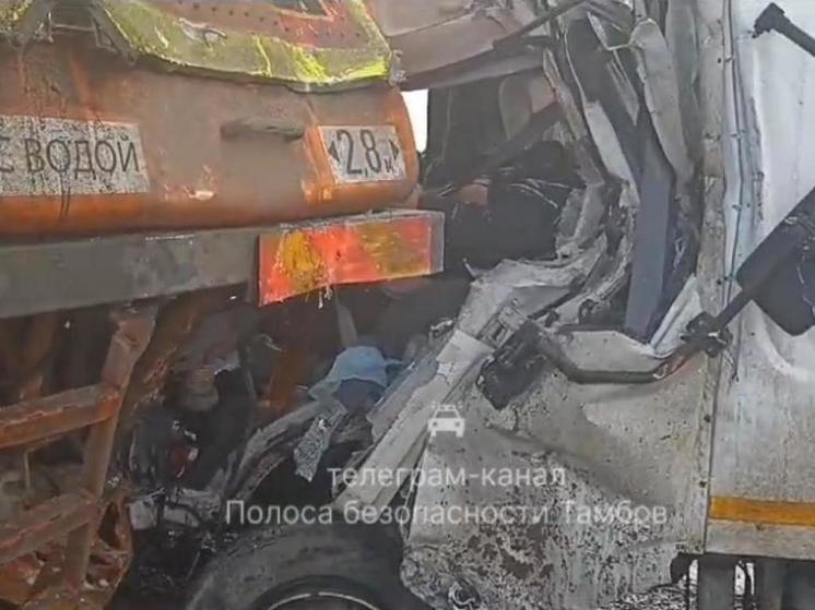 При столкновении двух грузовиков в Тамбовской области погиб человек