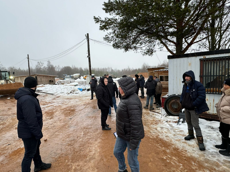 Четыре иностранца незаконно работали на стройке в Себежском районе