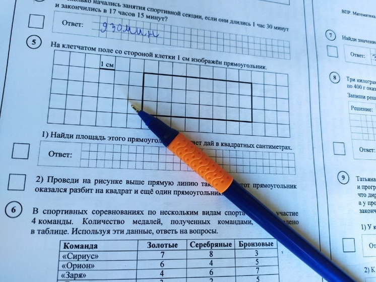 Всероссийские проверочные работы для вологодских школьников стартуют с 1 марта