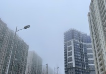 В Петербурге объявили «желтый» уровень опасности. Это связано с туманом, сообщили в пресс-службе Смольного.
