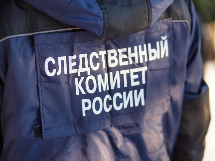 Уголовным делом об убийстве мужчиной двух знакомых в Тверской области занялся СК
