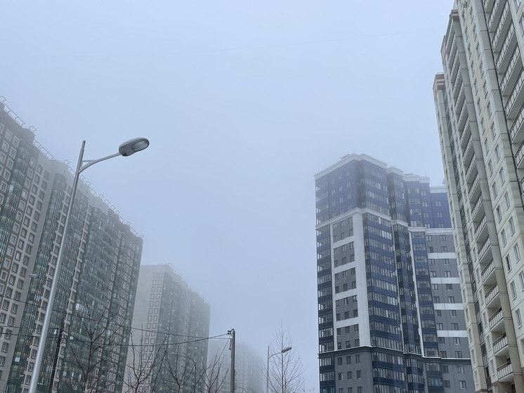 В Петербурге объявили «желтый» уровень опасности из-за тумана