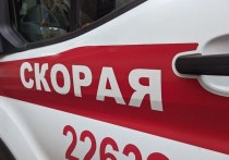 Пожар произошел в доме на проспекте Ленина в Петербурге. В огне пострадал мальчик, сообщили в ГУ МЧС по Петербургу и Ленобласти.