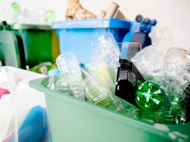 Крупная компания по обработке мусора в Орловской области объявлена банкротом