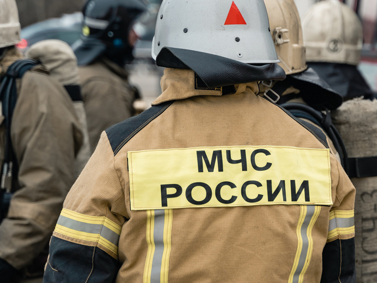 Мужчина и женщина погибли при пожаре в Захаровском районе Рязанской области