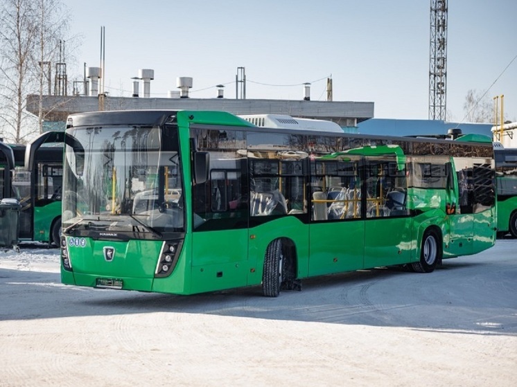 Новые автобусы Екатеринбурга будут курсировать по пяти маршрутам