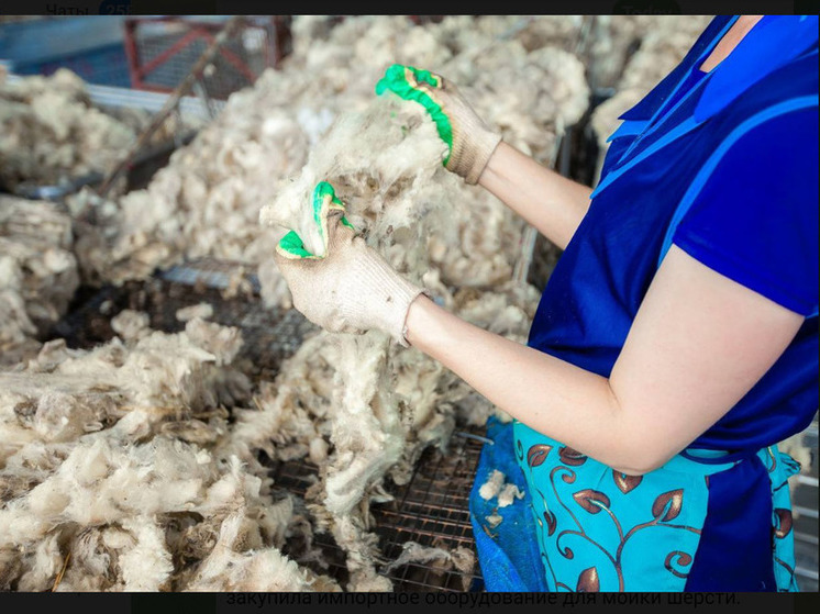 Дагестан инвестирует в будущее шерстяной промышленности