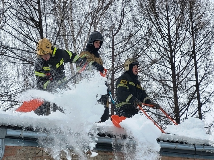 Костромские пожарные подключились к акции "Время добрых дел"