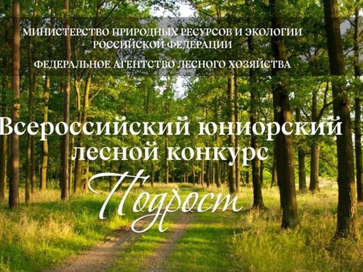 В Курской области определили 5 победителей юниорского лесного конкурса «Подрост»