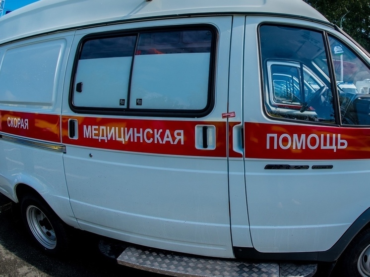 Клещевой энцефалит унес жизни шести жителей Челябинской области