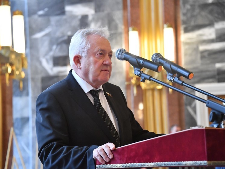 В Думе напомнили Макрону о судьбе Наполеона