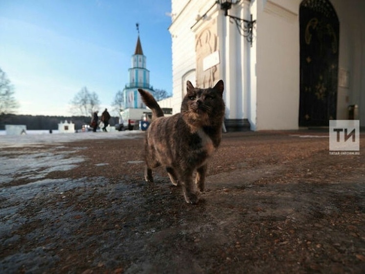 Резкое потепление прогнозирует метеоролог в Татарстане к концу недели