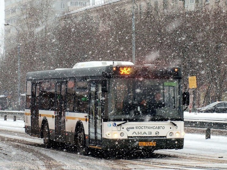 Виноватых в транспортном коллапсе в Дмитровском округе накажут