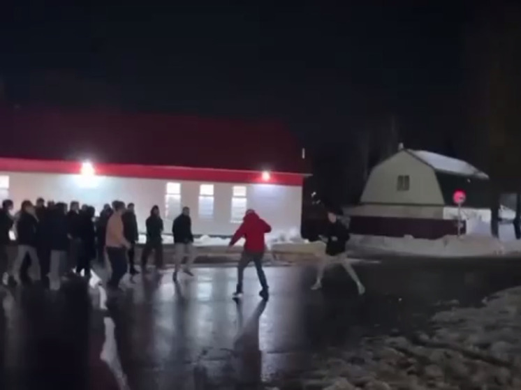 Полиция ищет группу хулиганов, устроивших побоище под Волоколамском