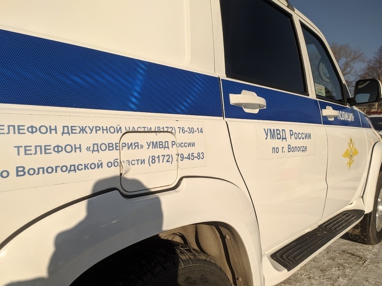 Чёрного лесоруба задержали полицейские в Бабушкинском округе