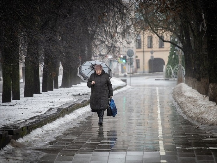 Облачная и дождливая погода ожидается в Псковской области 28 февраля