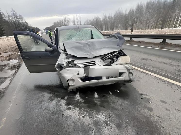 Во Владимирской области произошло 481 ДТП за неделю