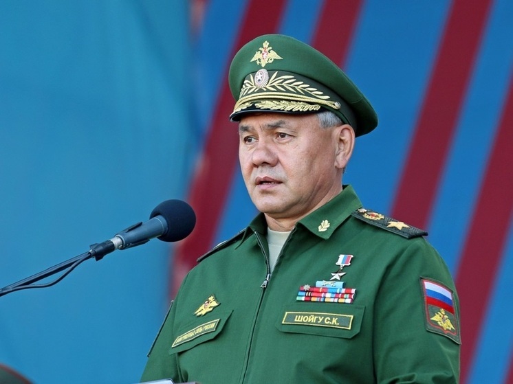 Шойгу сообщил о реорганизации 18 воинских частей в ЦВО в 2024 году