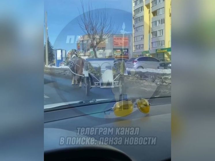 В Пензе лошадь перекрыла дорогу