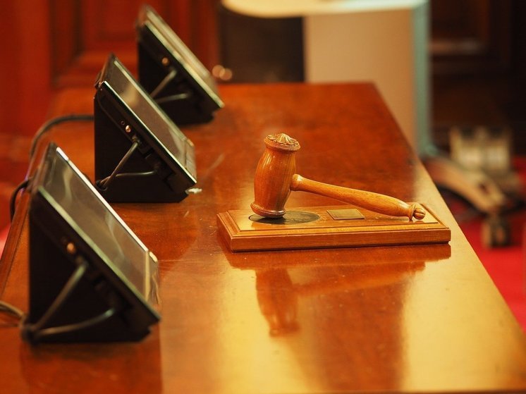 Стругокрасненский суд вынес приговор петербуржцу за использование поддельных прав