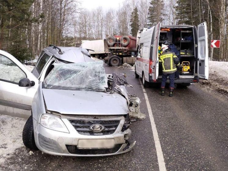 Спасатели помогли пострадавшим в ДТП в Богородском округе