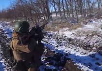 «Боеспособных и боеготовых частей в украинской армии не осталось»
