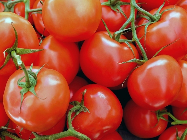 В Калининградскую область с начала года ввезли около 850 тонн импортных томатов