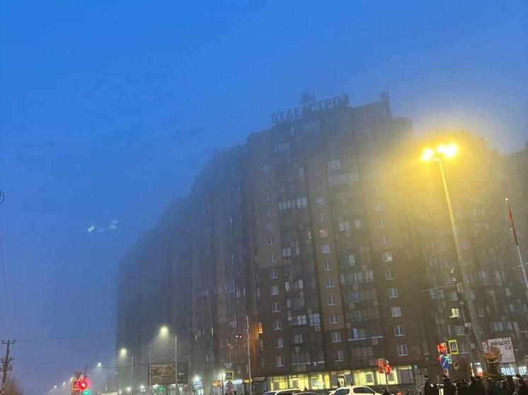 Туман задержится в Ленобласти до 29 февраля