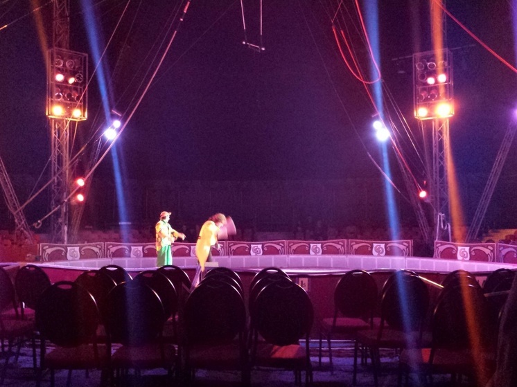 В ЛНР приедет цирк с дикими животными
