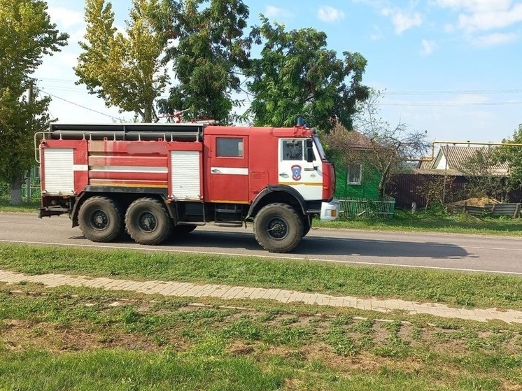 Минприроды РФ подготовит партию лесопожарной техники для новых регионов РФ