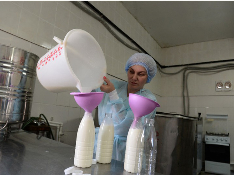 Аграрии из Ленобласти за год произвели продукции на 3,5 млрд рублей