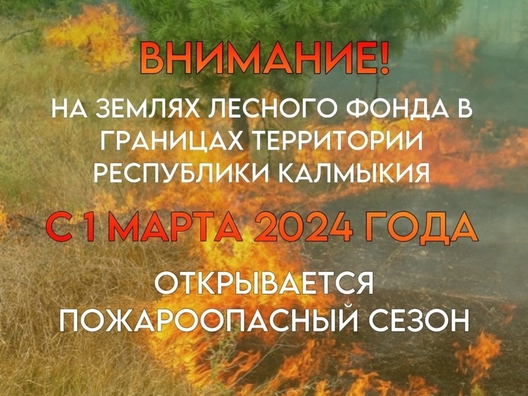 В Калмыкии с 1 марта откроют пожароопасный сезон
