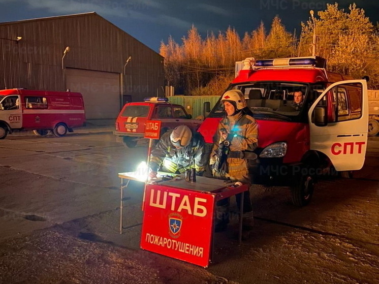 Восемь спасателей тушили частный дом в селе Сомино под Бокситогорском