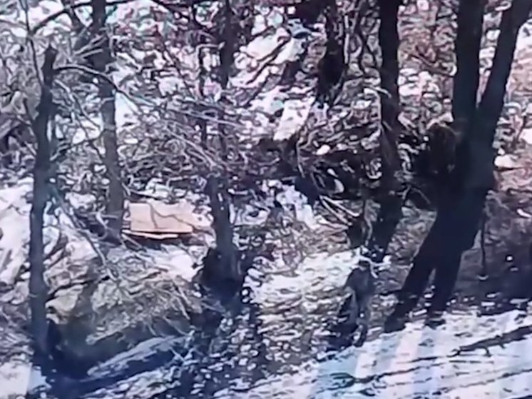 Кадыров: батальон "Ахмат" уничтожил блиндаж ВСУ на Харьковском направлении
