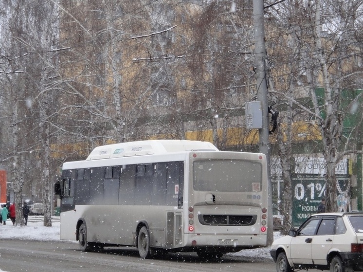 В Новосибирске 28 февраля потеплеет до - 6 и поднимется ветер