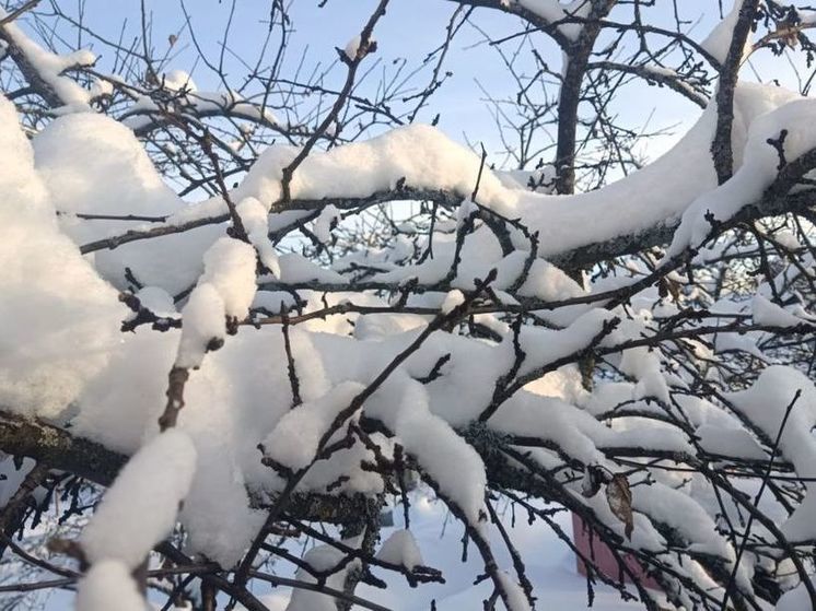 Сегодня будет один из самых теплых дней с начала зимы