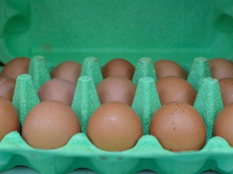Тенденция к снижению цен на куриные яйца наметилась в России