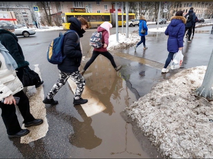 До +8 градусов прогреется воздух в Псковской области 29 февраля
