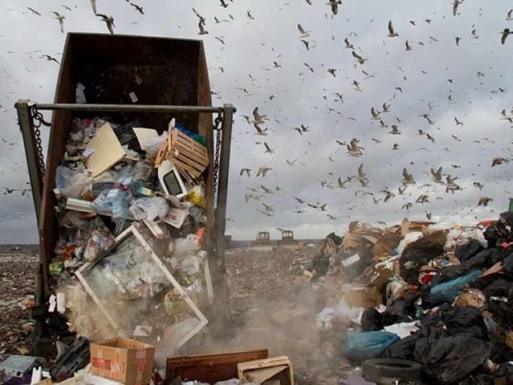 В Ярославском правительстве опровергли создание нового мусорного полигона рядом с Курбой