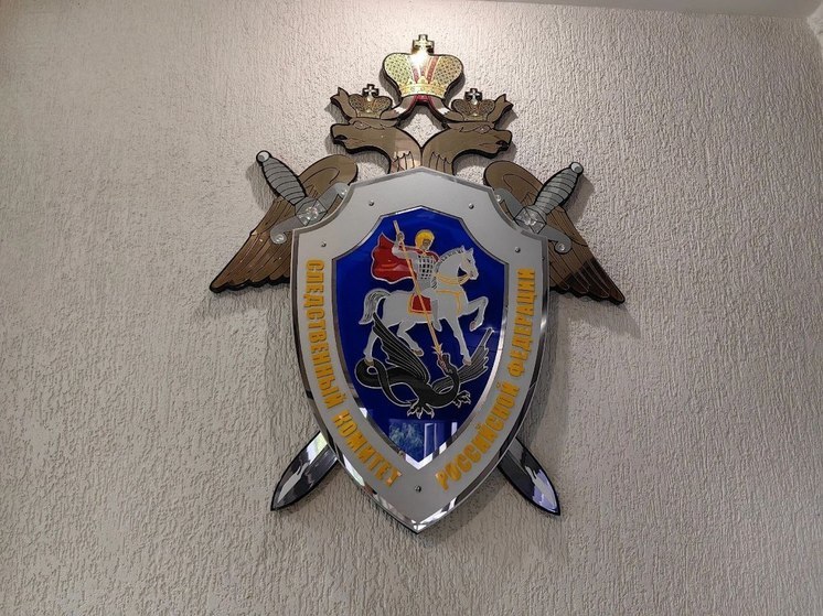 В Пензенской области мужчина зарезал сожительницу ножом