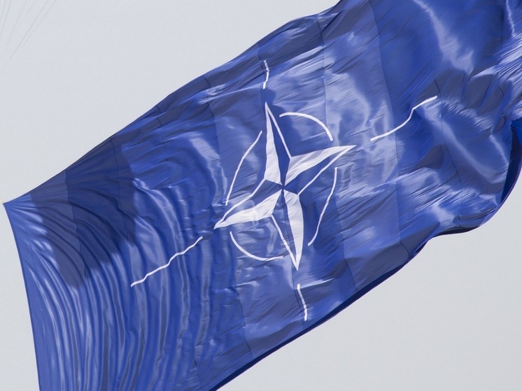 Правительство ФРГ: НАТО согласилась не отправлять сухопутные войска на Украину