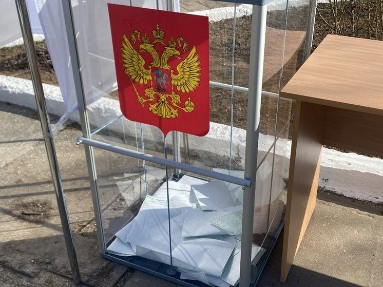 Татьяна Томилина оценила явку херсонцев на досрочном голосовании