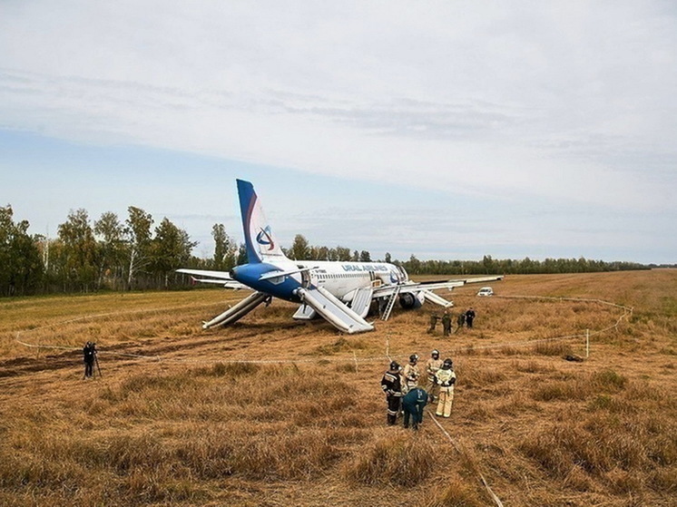 SHOT: Севший в пшеничном поле под Новосибирском самолёт хотят превратить в экспонат