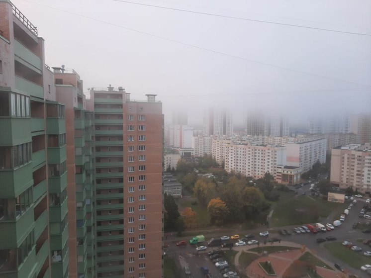 Туман и дождь пообещали жителям Ленобласти 29 февраля