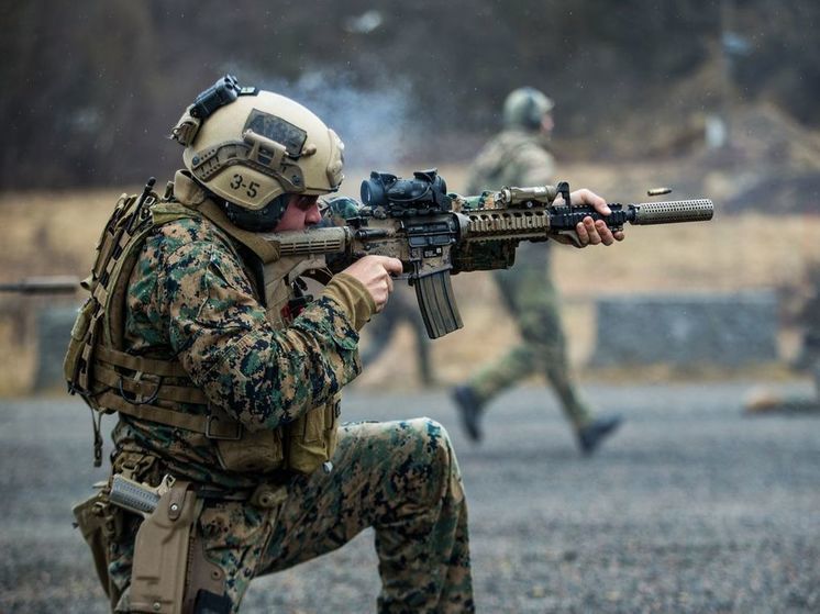 В НАТО анонсировали учения Nordic Response 2024 на севере Европы