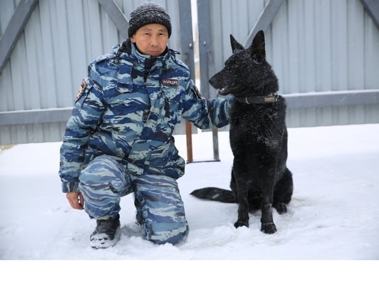 Служебный пес помог в поимке преступника в Якутске